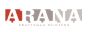 Arana Craftsman Painter