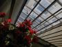 Transform Your Space with Creative Windows: Stunning Conserv