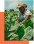 Leading Agriculture and Food Security Solutions