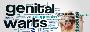How Are Genital Warts Diagnosed in Females?