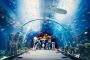 Buy Aquaventure Tickets – CTC Tourism Buy Aquaventure Tickets – CTC Tourism