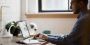 How Do You Get The Best Ruby On Rails For Your Web App?