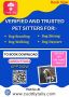 Dog Sitting & Dog Daycare Services in Lynn, MA