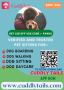 Get The Best Dog boarding services in Temecula, CA