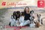 Book dog boarding, walking services in Chino, CA Book dog boarding, walking services in Chino, CA