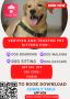 Best Dog Sitting and Daycare Services In Milwaukee, WI Best Dog Sitting and Daycare Services In Milwaukee, WI