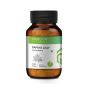Merlion Naturals Papaya Leaf Tablets for Blood platelet 
