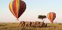 Explore the Best Mombasa Safari Tour Packages with Curliss T
