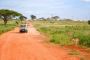 Best Mombasa Safari and Beach Holidays Package 