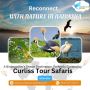 Affordable Mombasa Safari and Beach Holidays Package Affordable Mombasa Safari and Beach Holidays Package