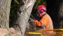 Custom Cutters Tree Specialists Ltd