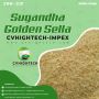 Sugandha Golden Sella Export Quality