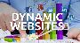 Website designing Company in Narela