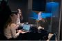 Hire the top US global cybersecurity consulting firm to miti