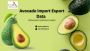 Avocado Import Export Data – Global Trade Insights          