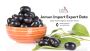 Jamun Import Export Data – Global Trade Insights & Shipment 