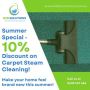 ☀️ Summer Special Discount! ☀️ Keep your carpets fresh and c