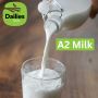 Uncover the Secret to Healthier Living with Rajkot's Best A2