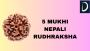The Spiritual and Healing Power of 5 Mukhi Nepali Rudraksha