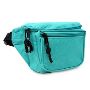 Discover Stylish Men's Designer Fanny Packs at Dalix
