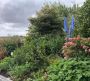 Best Garden Maintenance in Marewa
