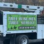 Tree service in Elizabeth PA