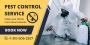 Best Pest Control Company in Newark, DE | Free Estimates