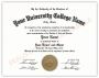 Are you Looking for Fake Masters Degree?