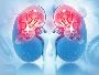 Top Nephrologist In Kolkata