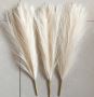 45CM PAMPAS GRASS SIMULATION REED GRASS