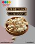Best Mushroom Exporter in India | Glee Impex Pvt. Ltd.