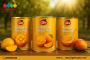 Premium Mango Pulp Exporter India Trusts 