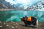Discover Sikkim Tour Packages for an Unforgettable Adventure