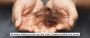 Permanent Solutions to Hair Loss: Why a Hair Transplant Coul