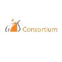 Services Offered By GIS Companies in India Services Offered By GIS Companies in India