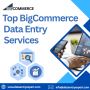 Best BigCommerce Data Entry services Best BigCommerce Data Entry services