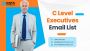Connect with Top Professionals Using Our C-Level Executives 