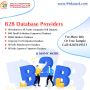 B2B Database Provider Company in India