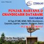 Punjab Industry Database Provider – Verified B2B Leads