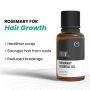 Best Rosemary Oil for Hair Growth in India