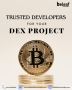 Trusted Developers for Your DEX Project 