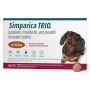 Simparica Trio for Dog(11.1-22 lbs)- The Heart of Protection