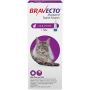 Bravecto Spot-On for Large Cats (13.8 lbs - 27.5 lbs)