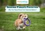 Seasonal Parasite Protection for Dogs - Flea & Tick Protecti