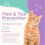 PetCareClub: Frontline Plus for Cats – New Get 10% Off