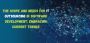 ​​The Scope and Needs for IT Outsourcing in Software Develop