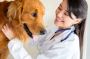 Northgate Animal Hospital