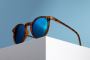 Stylish Sunglasses for Men and Women – Discover the Best Sun