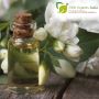 Top Jasmine Sambac Absolute Manufacturers