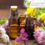 Leading Essential Oils Manufacturers in India